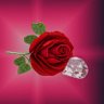 🌹Melissa's profile picture