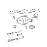 toafishy|とあふぃっしー's profile picture