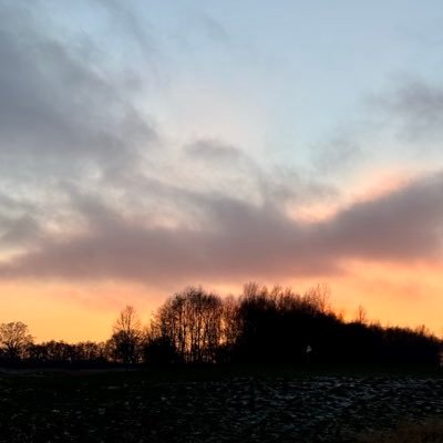 maxiy82's profile picture