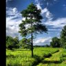 Фото профиля Jedev