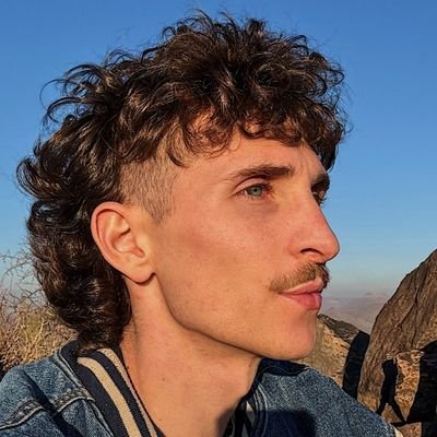 Stachemullet's profile picture