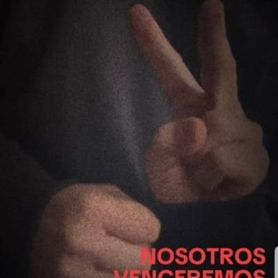 pedrique_p's profile picture