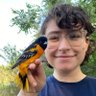 Molly Cohn's profile picture