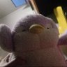 BIBI's profile picture