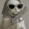 Яна не ките кет Дарк profil fotoğrafı
