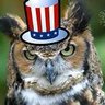 Politicat 🇺🇸 For America 的头像