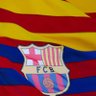 Bashir catalan's profile picture
