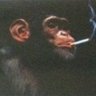 Profilbild von 𓌏▌Peven Pawson