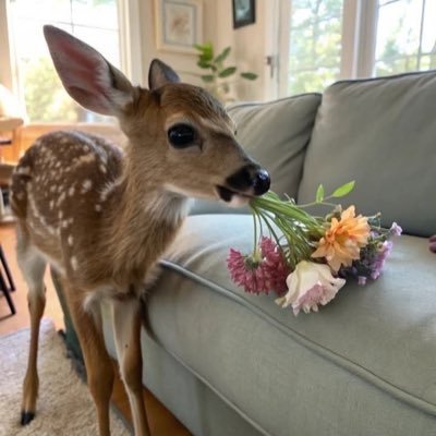 aaee0_'s profile picture