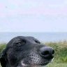 Clark's profile picture