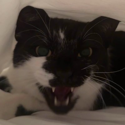 Stretch's profile picture