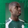 Green Observer's profile picture