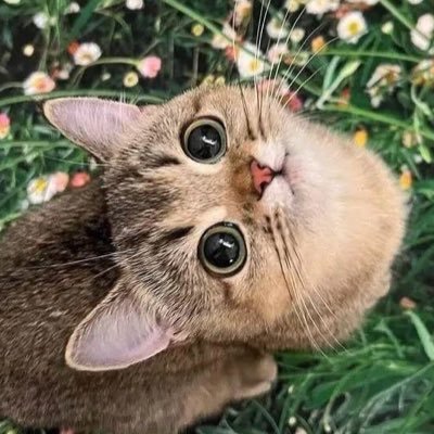 chaeiry 🍒's profile picture