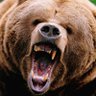 Grizzly Grandma profil fotoğrafı