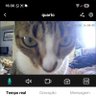 lyarazinha's profile picture
