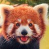 .I.'s profile picture