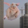 Profilbild von Problermo_Trubalsky