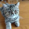 べん profil fotoğrafı
