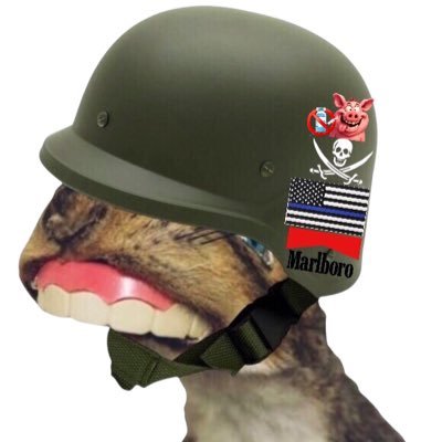 LaforcedeJesus's profile picture