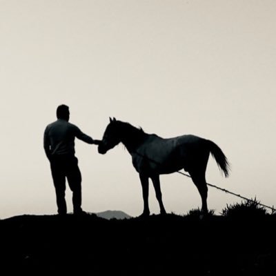 Namroud 's profile picture