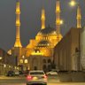 Фото профиля Naseer Altamimi