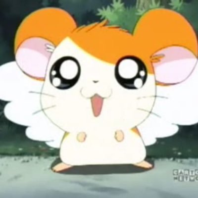 kasunuts's profile picture
