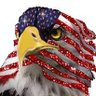 Фото профиля pawpaw eagle eye