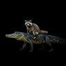 Фото профиля Florida Man