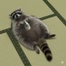 だんざ 的头像