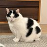 むむ 的头像