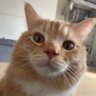 茶太郎さん 的头像