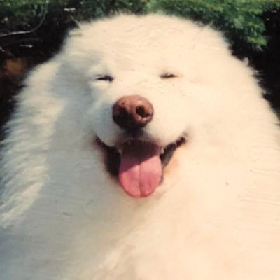Travis's profile picture