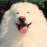 Profilbild von Travis