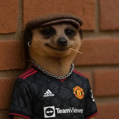 flokiutd's profile picture