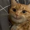Фото профиля cute story