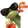 se se's profile picture