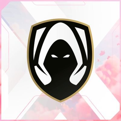 Heretics Valorant's profile picture