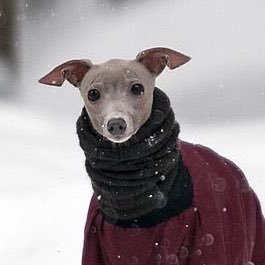 boggleplay's profile picture