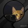 C U R T's profile picture