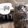 Profilbild von glup