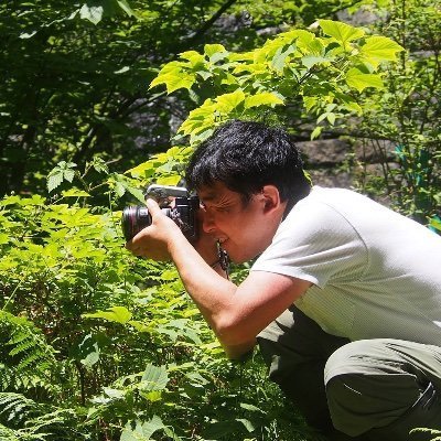 尾園 暁's profile picture