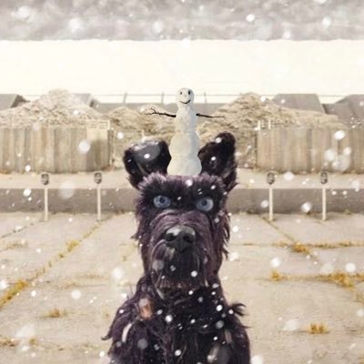 Soppy's profile picture