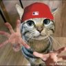 ex-kariber's profile picture