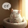 雫 profil fotoğrafı