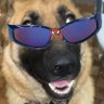 bed's profile picture