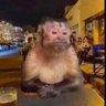 bleakhalva 的头像