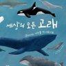 세상의모든고래's profile picture