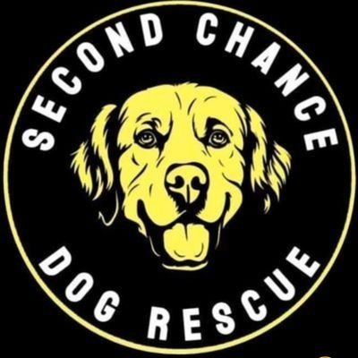 Second Chance Dog Rescue's profile picture