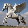 شعال profil fotoğrafı