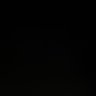sqqqq 的头像